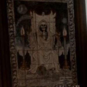 Meet your Posher, Carina